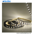 5630 SMD double blanc blanc + bande LED chaude blanc